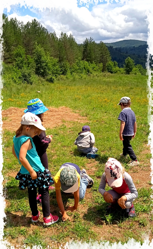IMG 20210606 120742