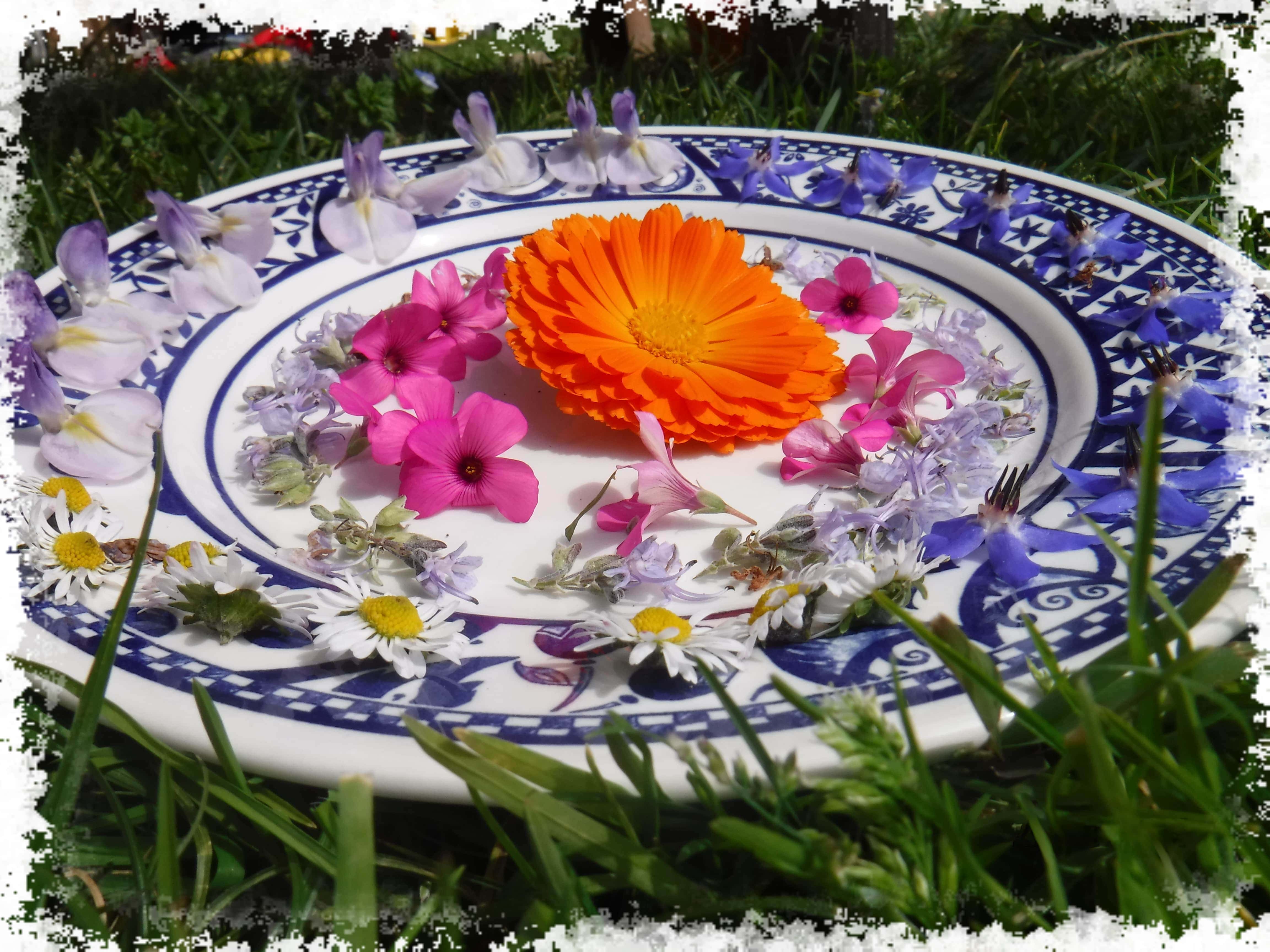 culinaire1cadre min